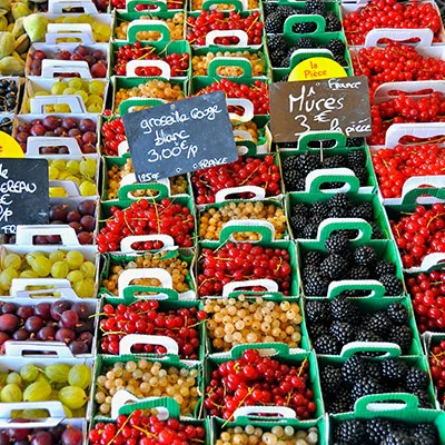 如何在手机上免费实现科学上网：完整实用指南